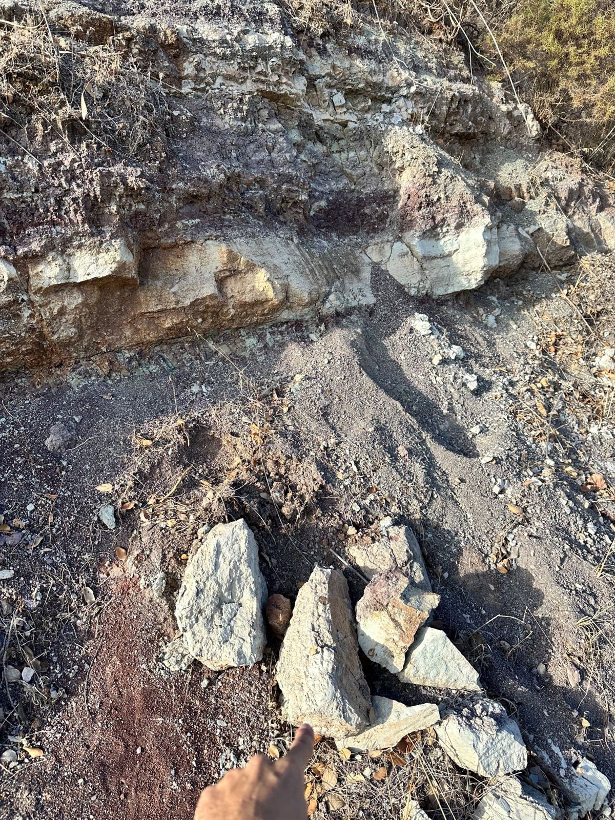 Pale blocks of rock at the foot of a layered outcrop, with a finger pointing to them