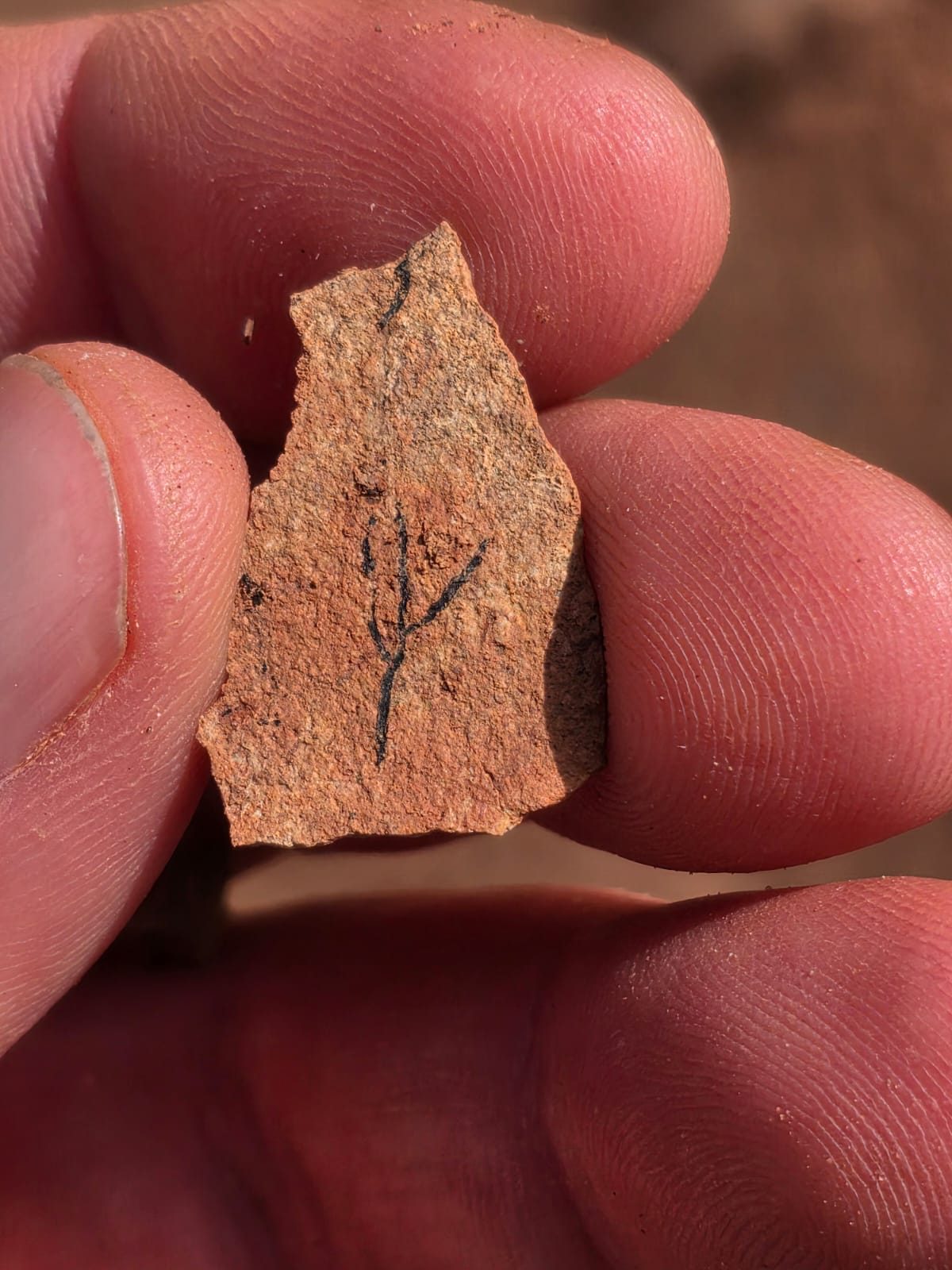 Fingers holding a small reddish rock chip marked with a thin black branching line