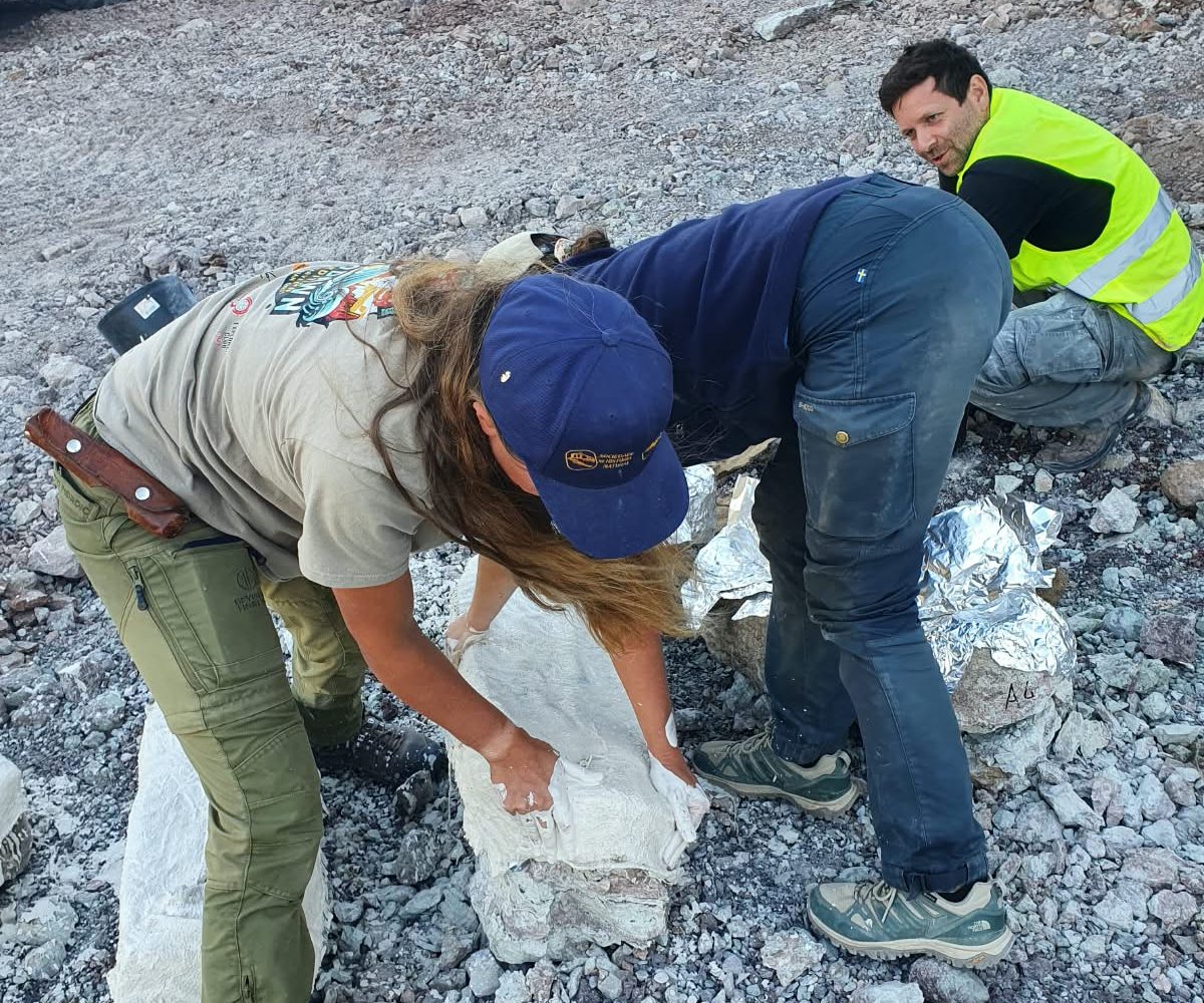Team members pressing plaster soaked cloth over a block, with an excavator and a striped rock cut behind