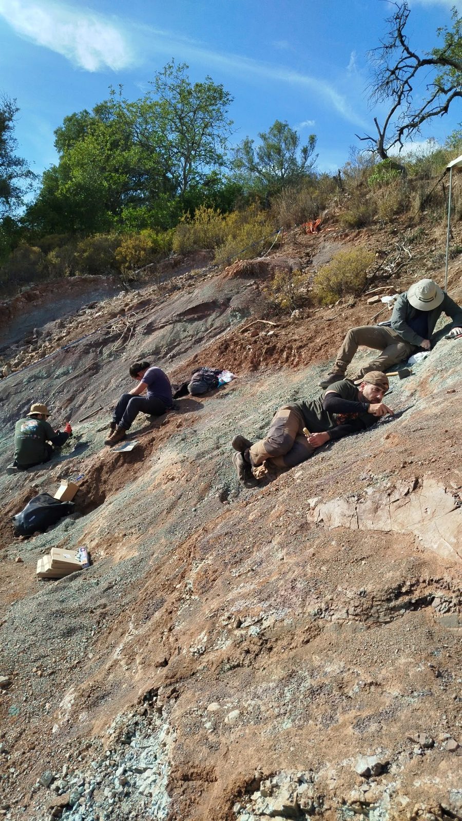 4 team members working on a steep reddish slope under trees and a blue sky