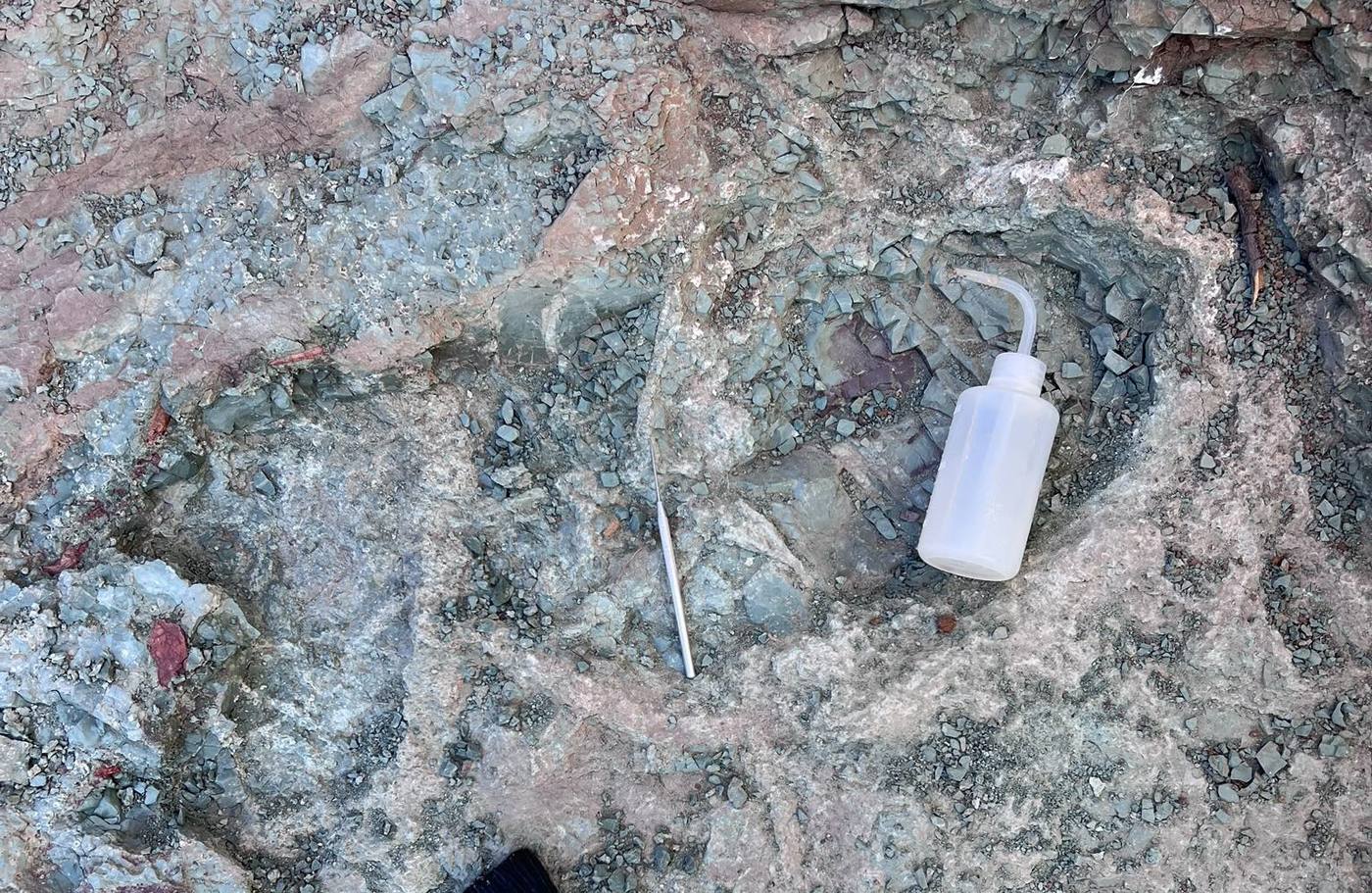 Gray green rock surface with pinkish patches, a red handled brush, a dental pick and a white wash bottle lying on it