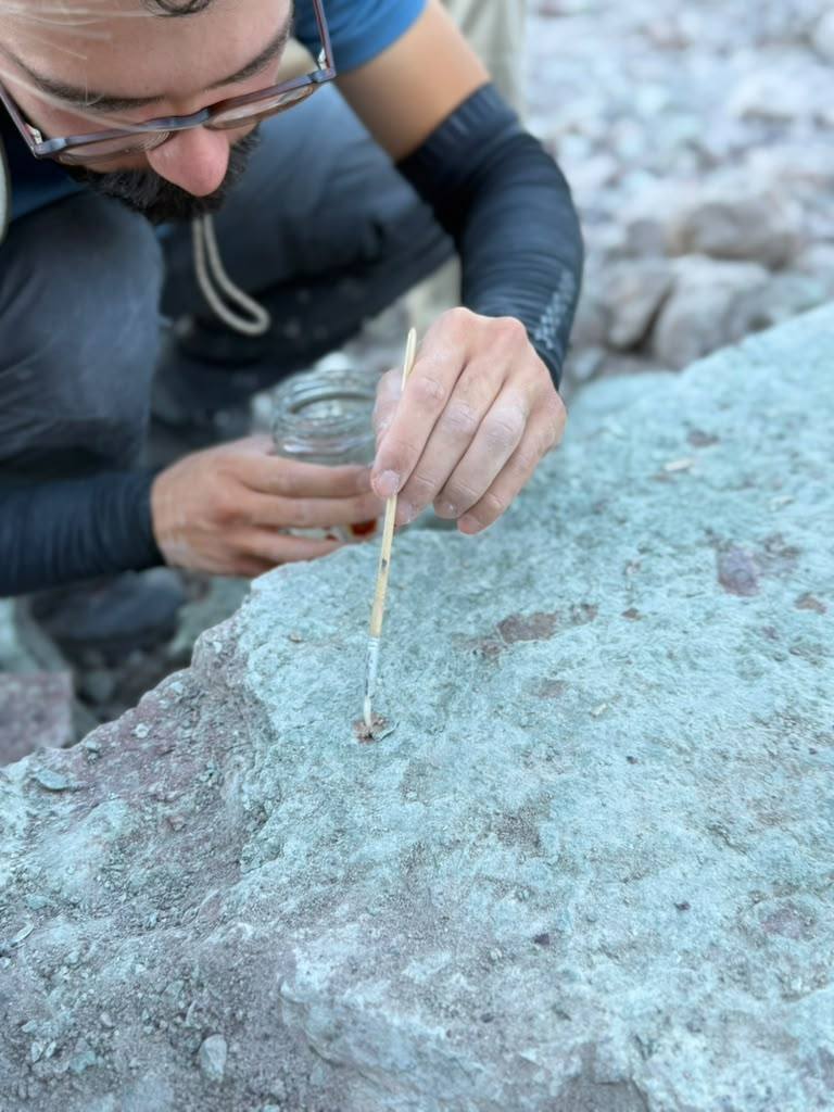 A team member in glasses holding a jar and touching a fine brush to a tiny fossil in a gray green block