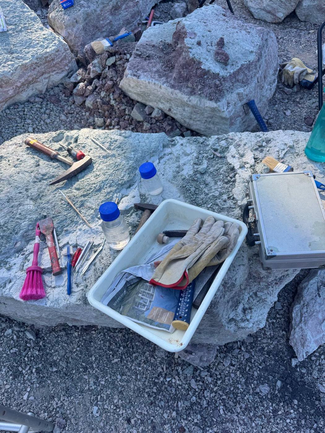 Rock hammers, dental picks, brushes, bottles of consolidant and leather gloves laid out on a pale block