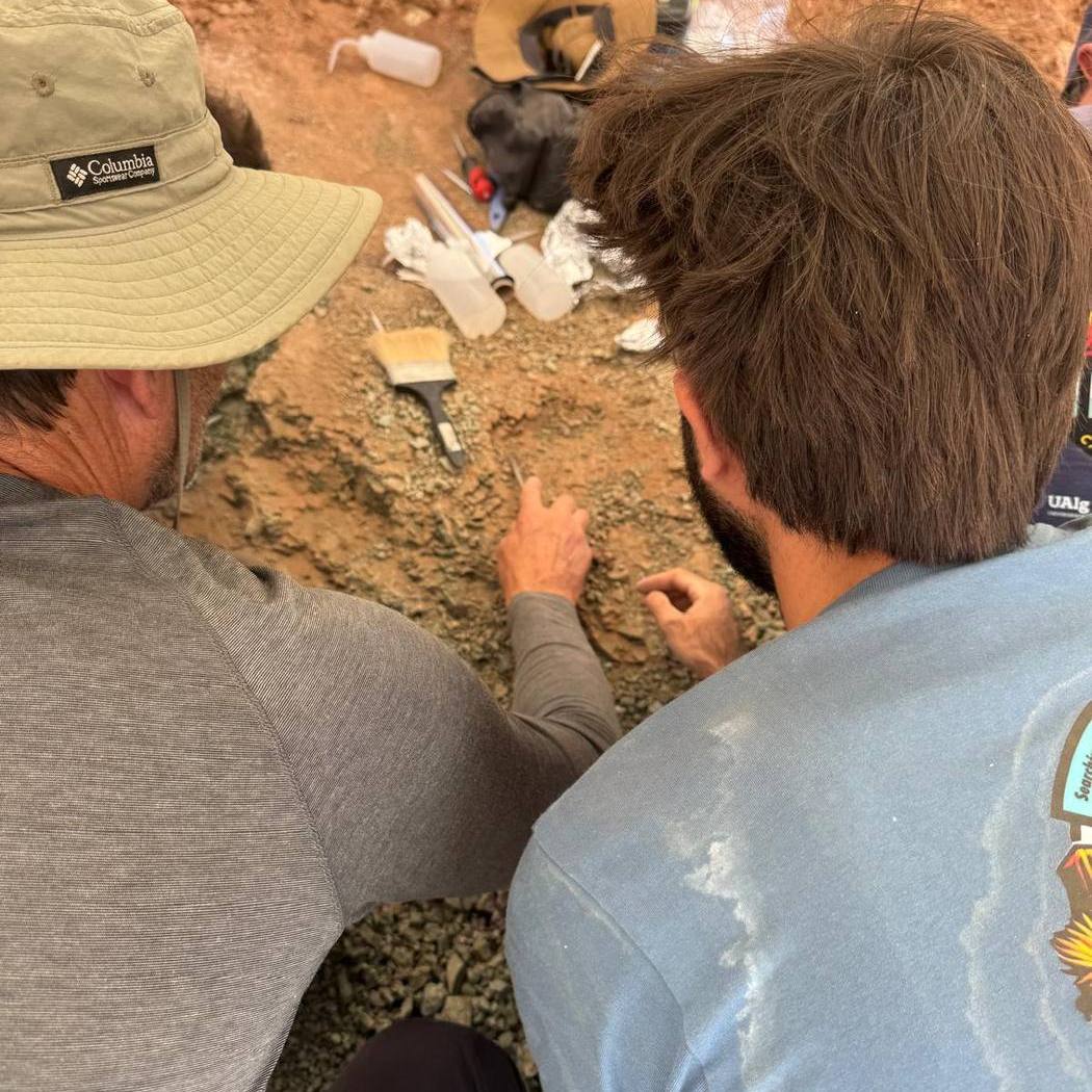 2 men seen from behind leaning over a gravelly fossil layer, one in a sun hat pointing with a fine tool