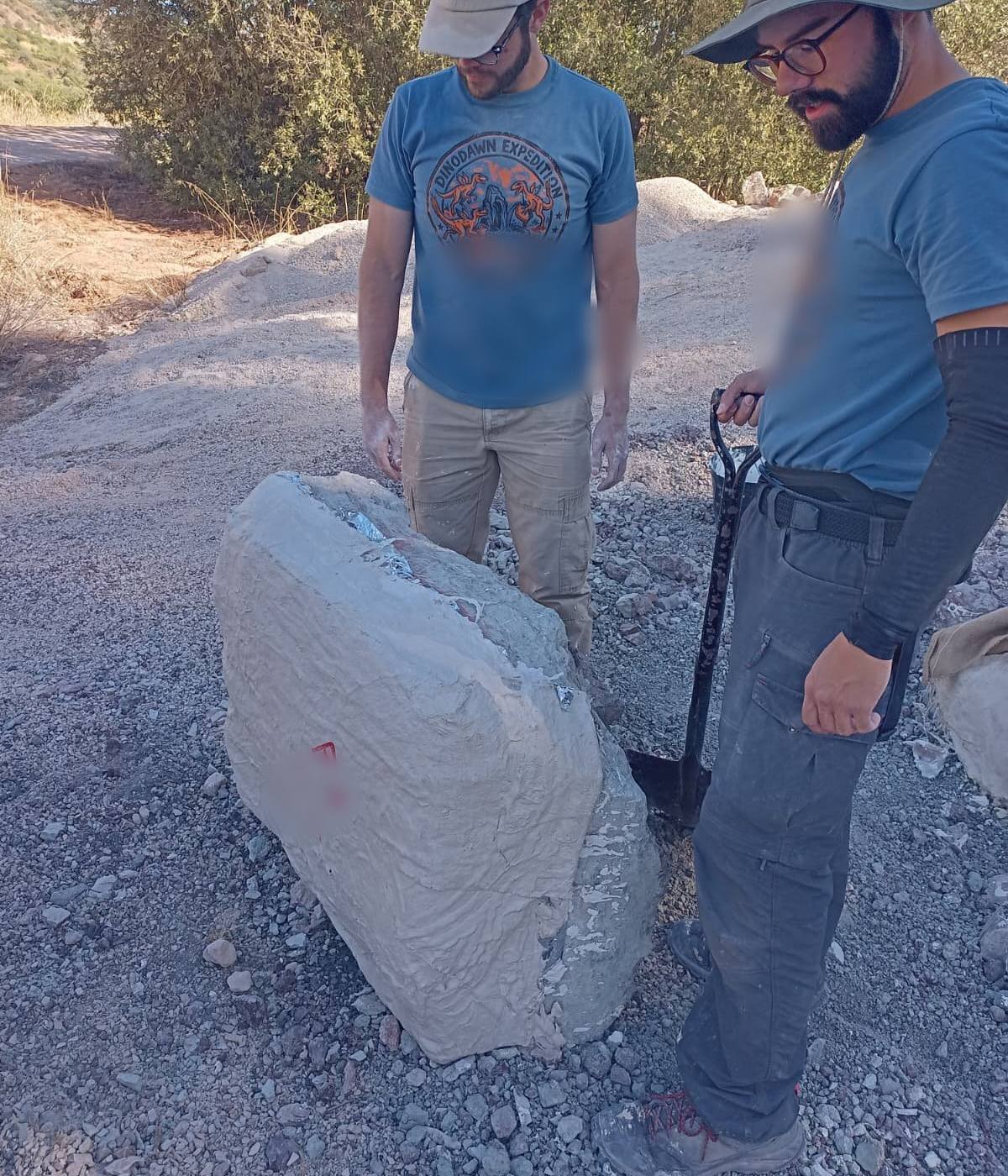 2 team members looking down at a large plaster jacket standing on its side, marked in red with the letters FA