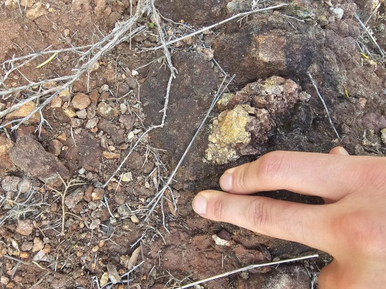 Finger pointing to a small find in red stony ground