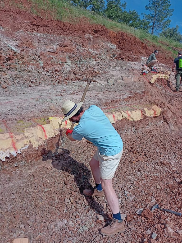 Team member breaking rock beside a line of plaster jackets