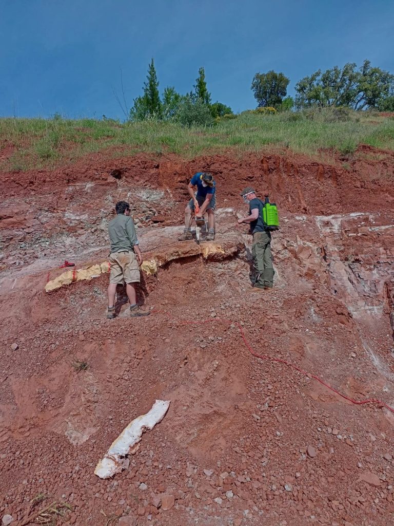 Team members working on a red slope above a plaster jacket