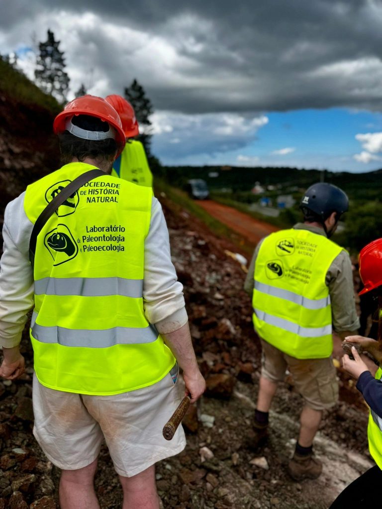 Team members in safety vests at the edge of the dig