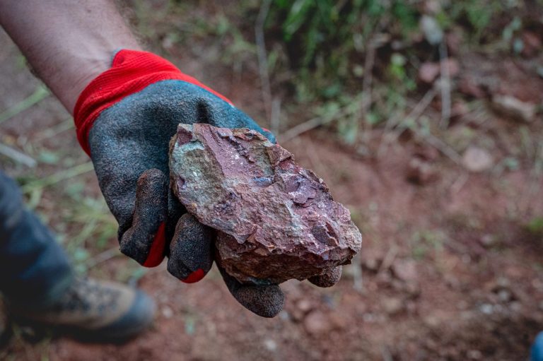Gloved hand holding a piece of red fossil-bearing rock