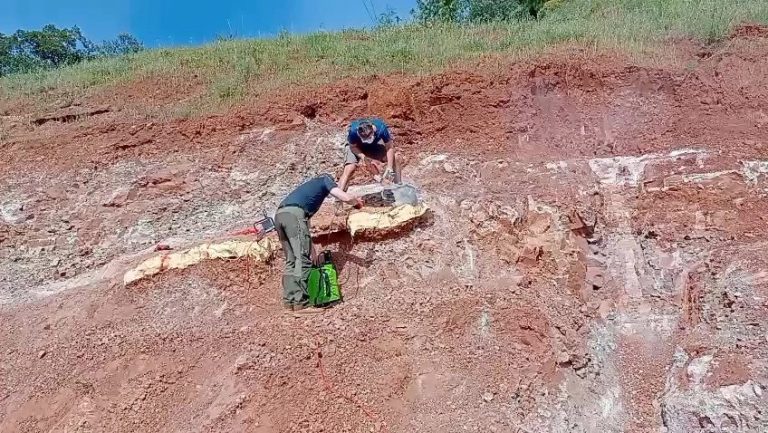 Team members working along a line of plaster jackets on red rock
