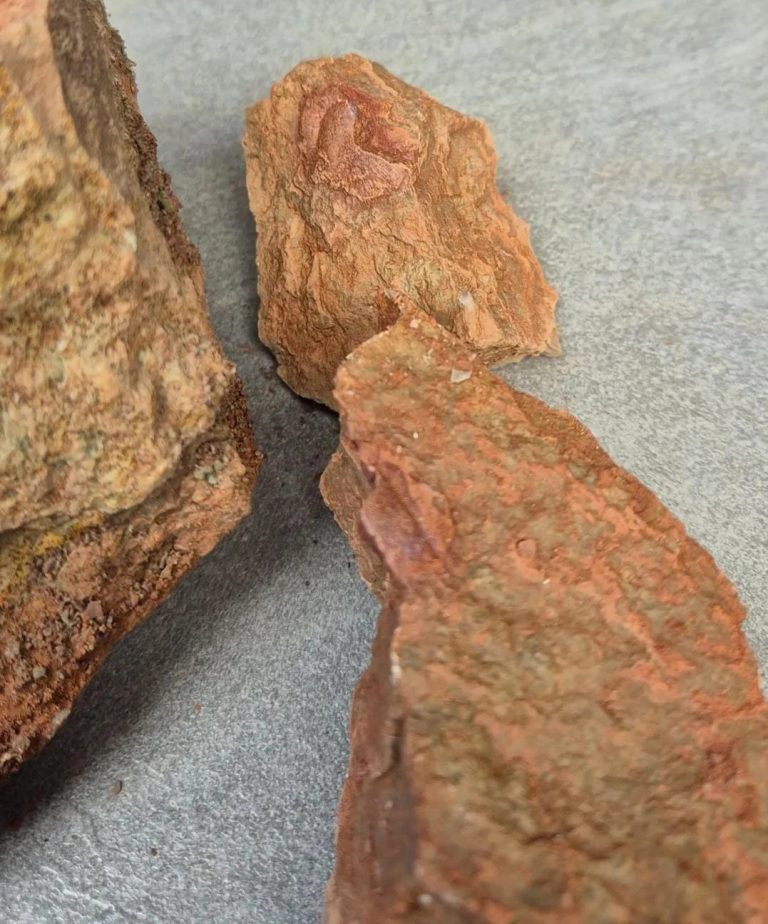 Pieces of split red rock on a table
