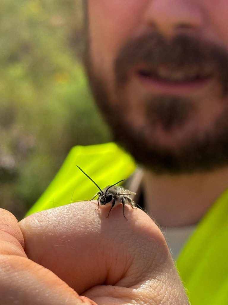 Small beetle resting on a team member's hand