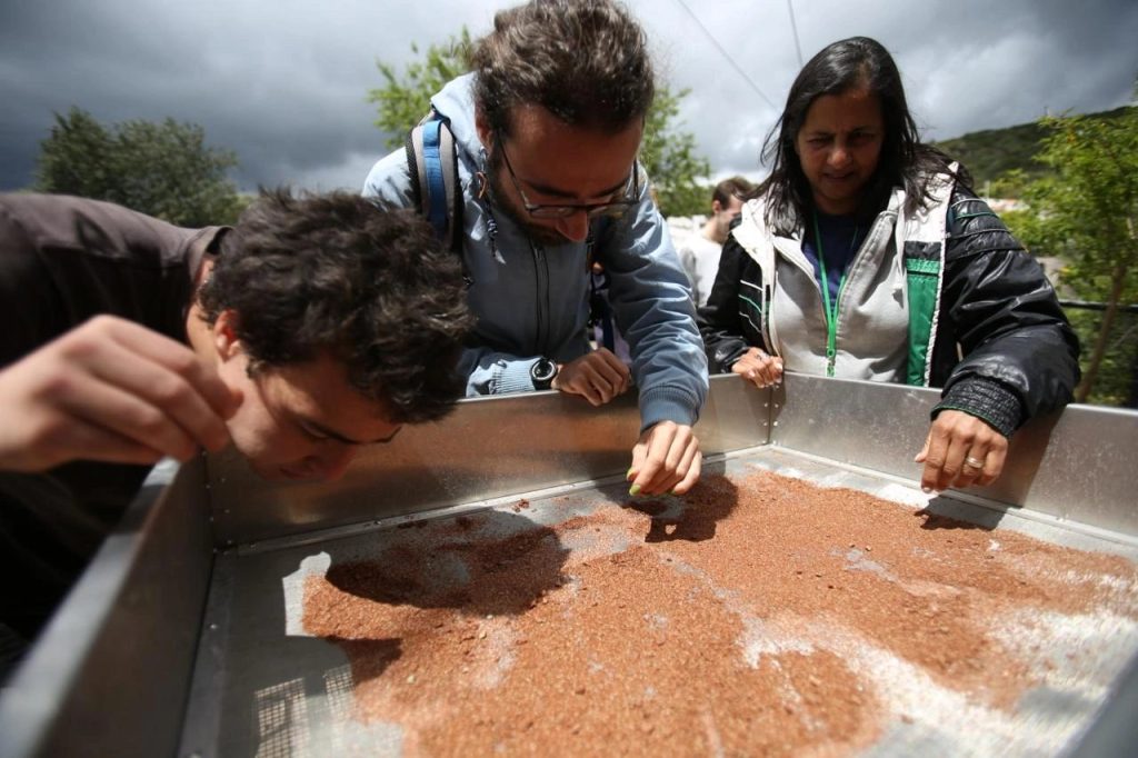 Team members sorting sieved red sediment in a metal tray