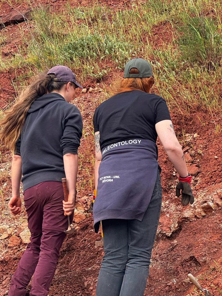 2 team members examining the red rock face