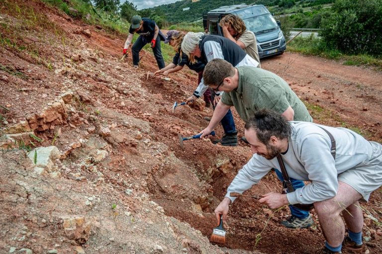 Team members brushing and inspecting rock at the base of the slope