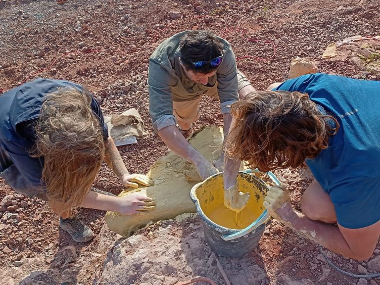 Team members mixing plaster in a bucket for field jackets