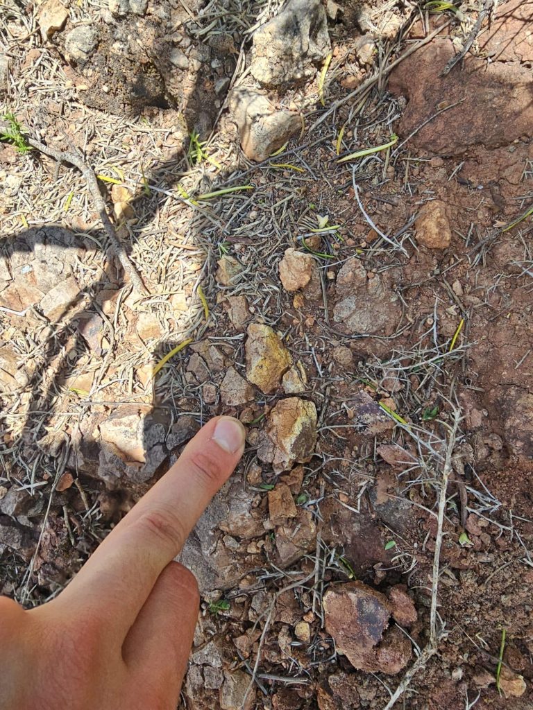 Finger pointing to fragments in stony ground