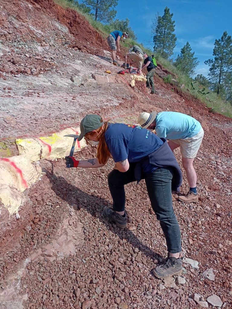 Team members working along a slope marked with plaster jackets