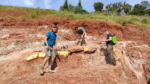 Team members working beside plaster jackets on red rock