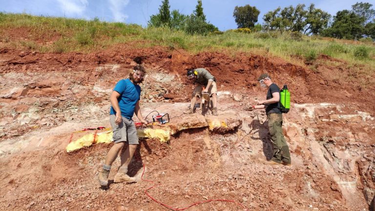 Team members working beside plaster jackets on red rock