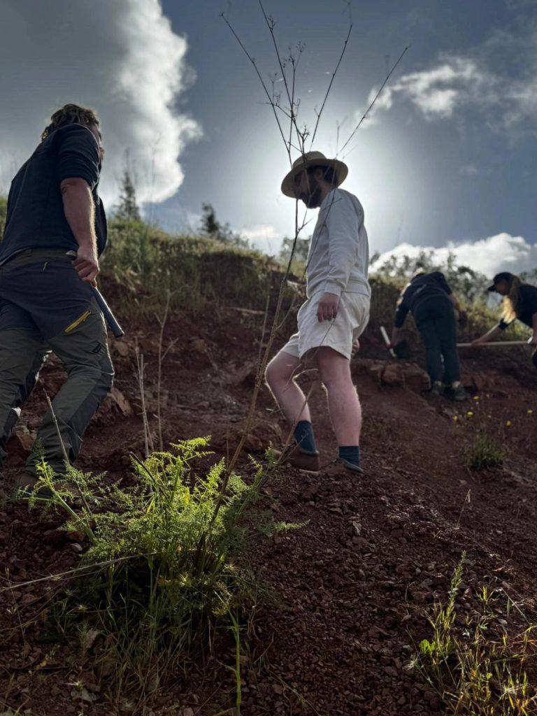 Team members working on a hillside against the sun