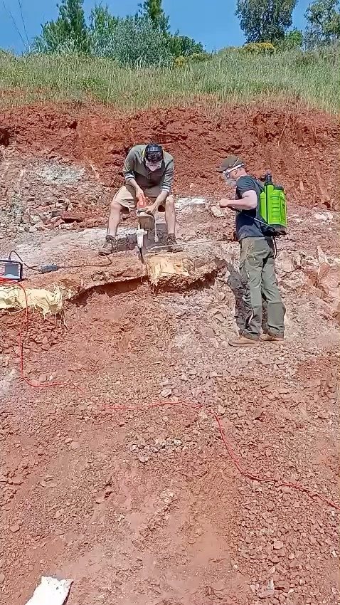 Team members working above plaster-jacketed blocks