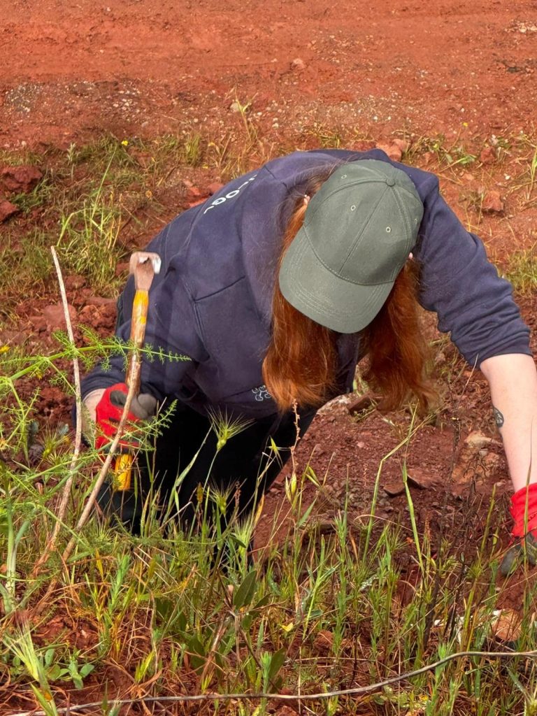 Team member searching red ground by hand