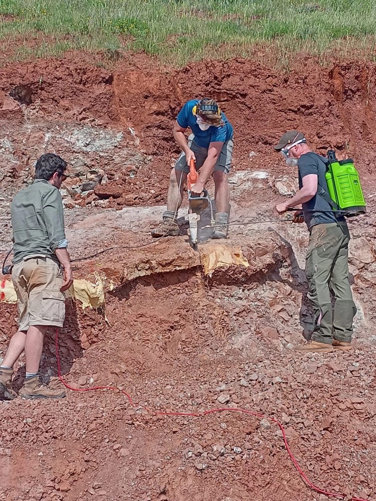 Team members working beside plaster jackets on the slope