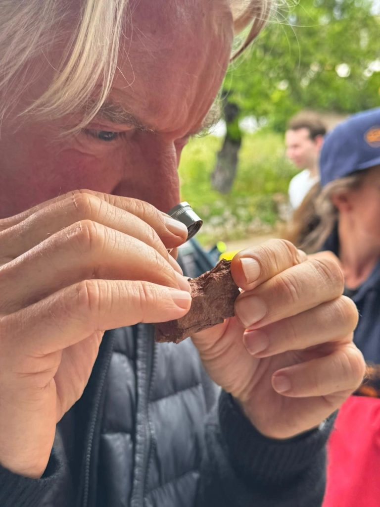 Team member examining a small find with a hand lens