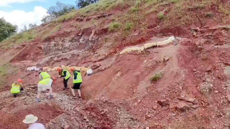 Field team working across a broad red slope