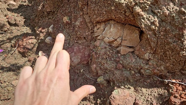 Hand indicating a curved feature in red rock