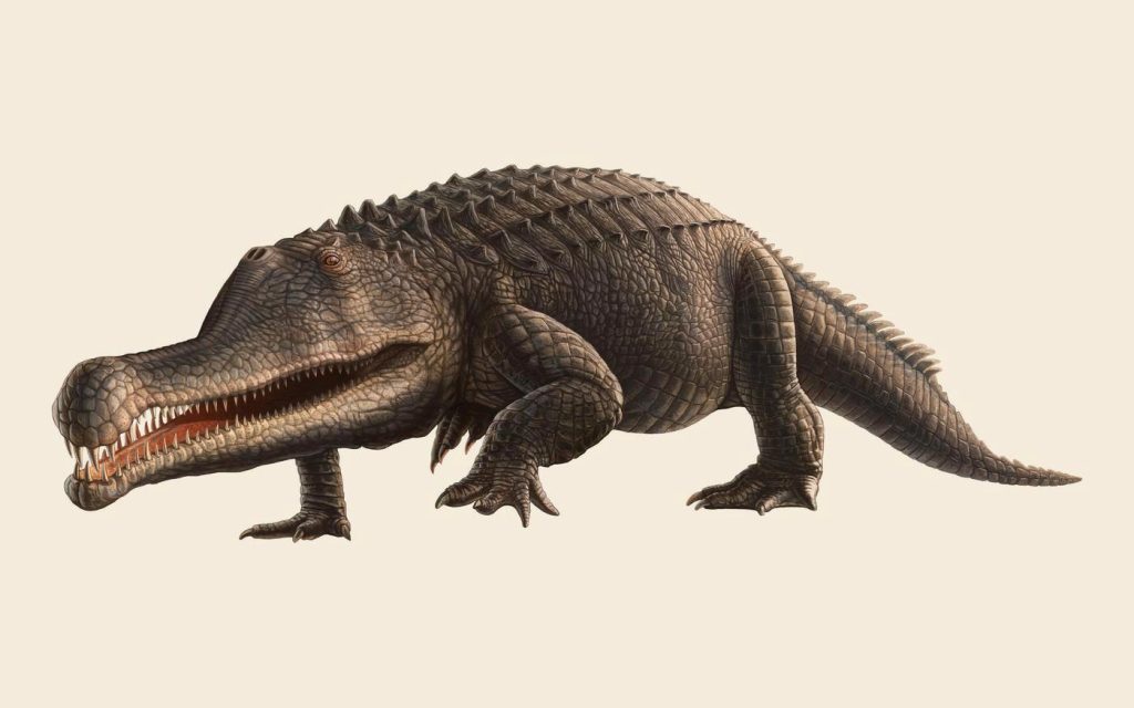 Finished color painting of Angistorhinus, a large phytosaur with a long toothy snout and rows of armor plates along its back
