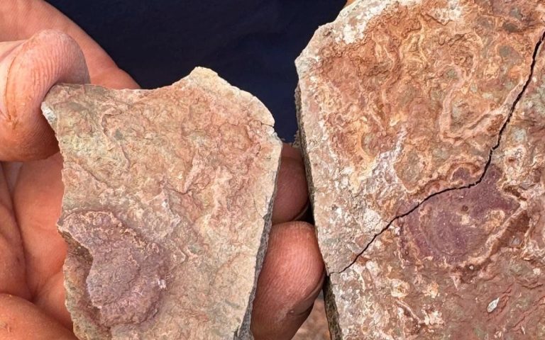 Hands holding pieces of split red rock from the dig.
